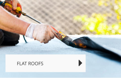 FLAT ROOFS